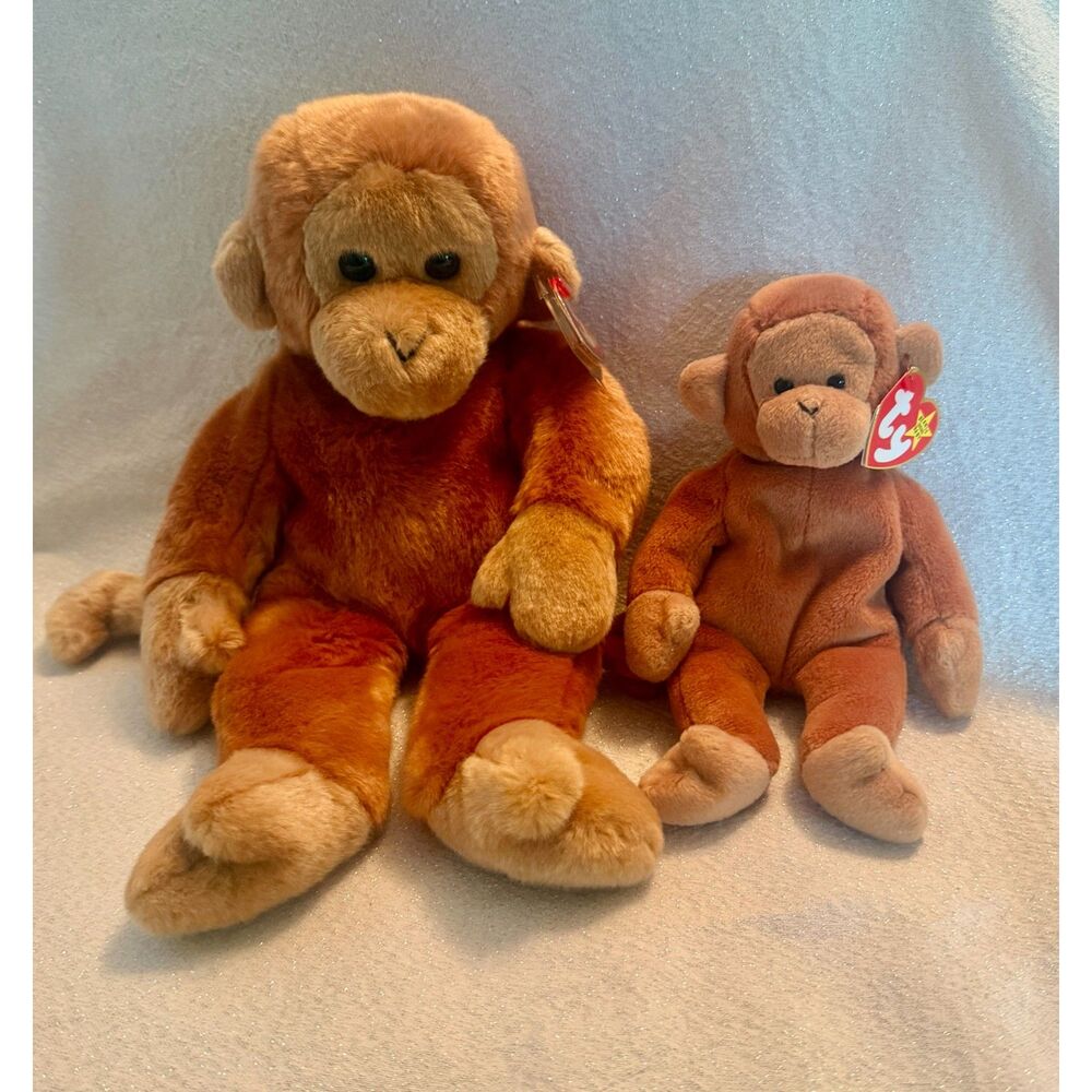 TY Bongo Beanie Baby and Beanie Buddy. MWMT